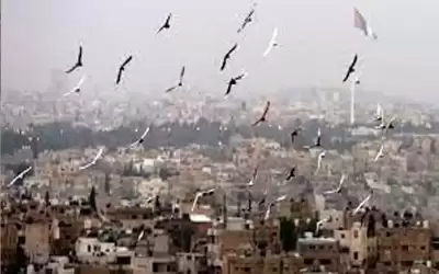 ارتفاع قليل على الحرارة وأجواء معتدلة