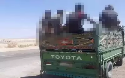 الدوريات الخارجية تضبط ديانا محملة بـ29