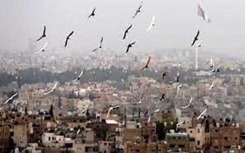 ارتفاع قليل على الحرارة واجواء معتدلة