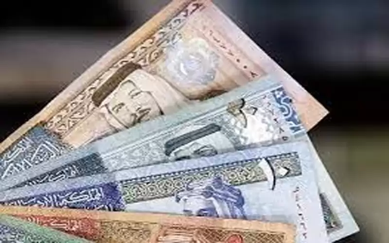 الشوبكي يدعو لإعادة الدعم النقدي للمحروقات