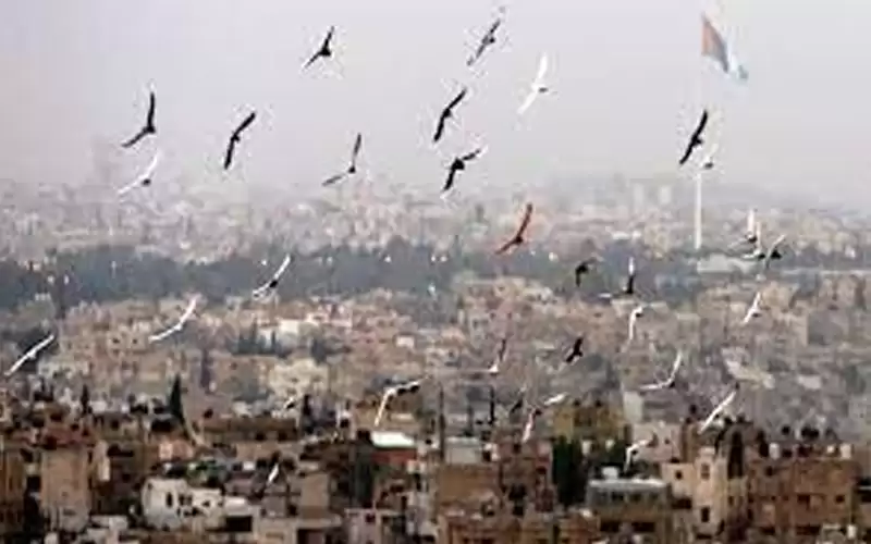 انخفاض طفيف على درجات الحرارة الاحد