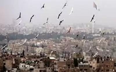 انخفاض طفيف على درجات الحرارة الاحد