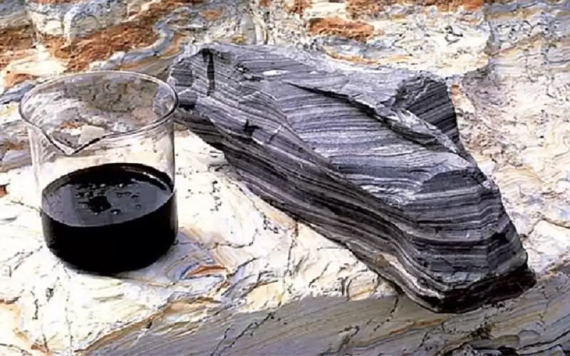 الشوابكة: الأردن يزخر بالكثير من الثروات