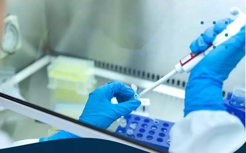 شنغهاي تستعد لاستئناف تناول الطعام في