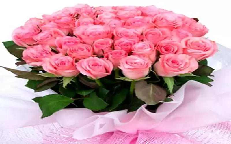 تهنئة لمحمد الرواحنة و عقيلته نور