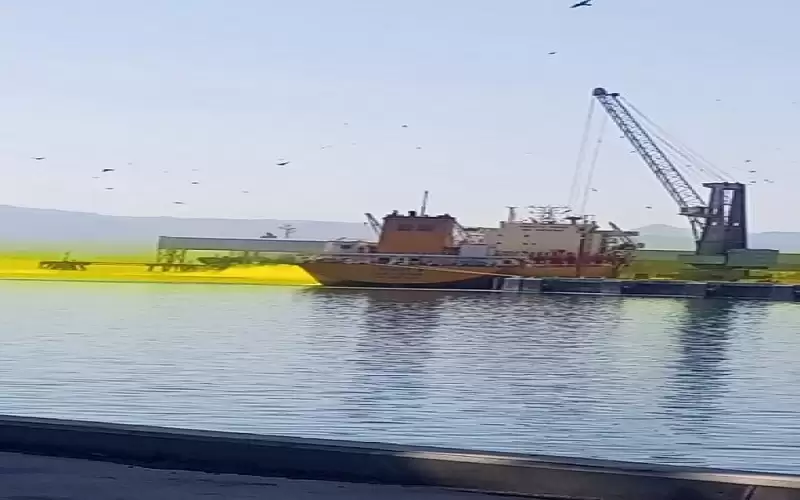 الخصاونة يشكل لجنة تحقيق بحادثة سقوط