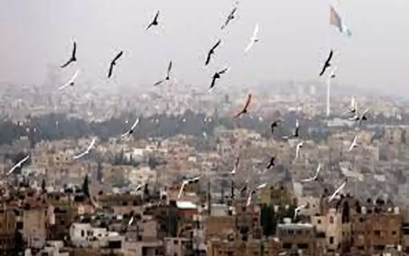ارتفاع طفيف على الحرارة وأجواء معتدلة
