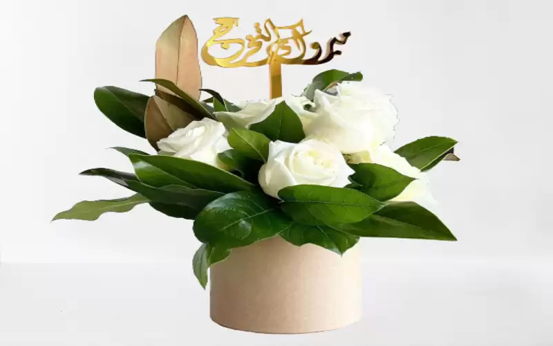 أميرة نايل السمارات مبارك التخرج