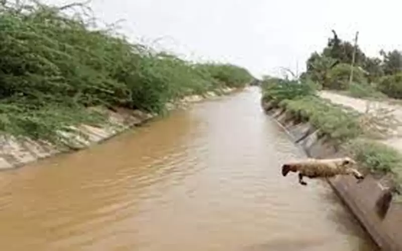 وفاة راعي أغنام غرقا في قناة