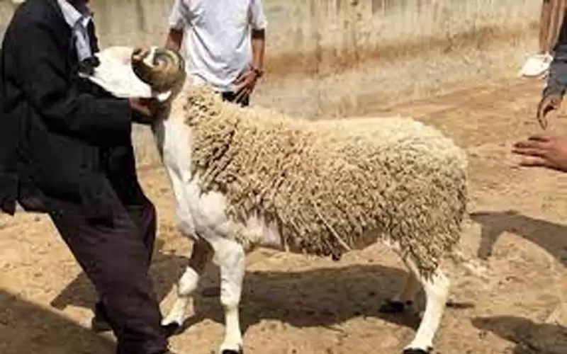 عطلة عيد الأضحى من صباح الجمعة