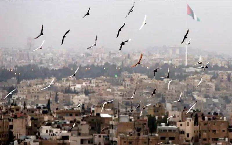 أجواء معتدلة في المرتفعات وحارة في