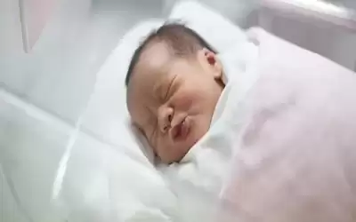 تهنئة لمعتصم الشوبكي وعقيلته بمناسبة قدوم