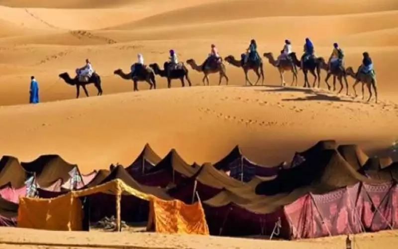 السردية تكتب: قصص ليست أغرب من