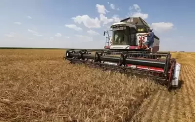 الأردن يشتري 120 ألف طن من