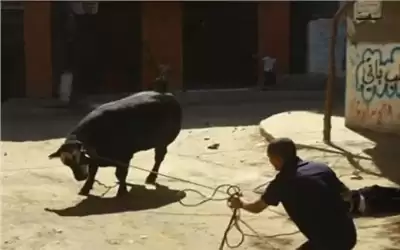في أول أيام العيد .. وفاة