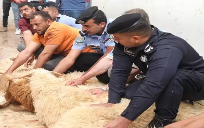 الأمن ينهي توزيع الاضاحي عن أرواح