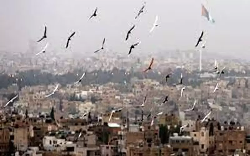 ارتفاع قليل على درجات الحرارة