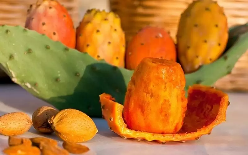 مزارعون: تراجع إنتاج ثمار الصبر في