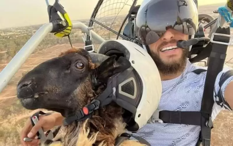 بالصور.. شاب ينقل خروف العيد لنسيبه