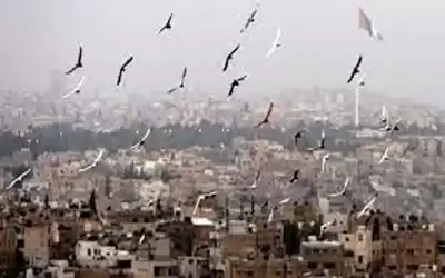 أجواء صيفية معتدلة