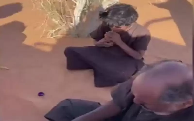 ضلا الطريق وفقدا الأمل بالنجاة ..