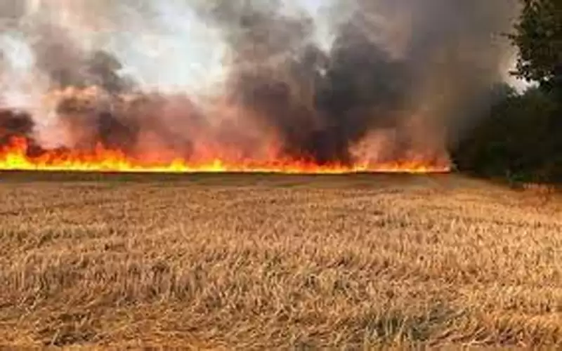 تعويض مزراعين امتدت حرائق من الجانب