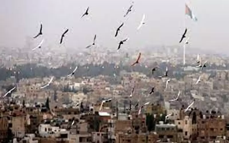 أجواء صيفية بالسهول والجبال وحارة في