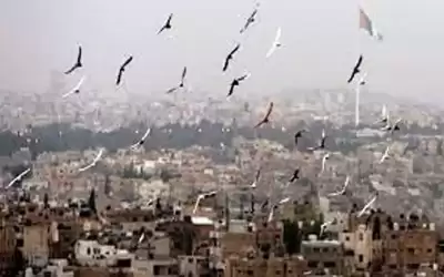 أجواء صيفية بالسهول والجبال وحارة في