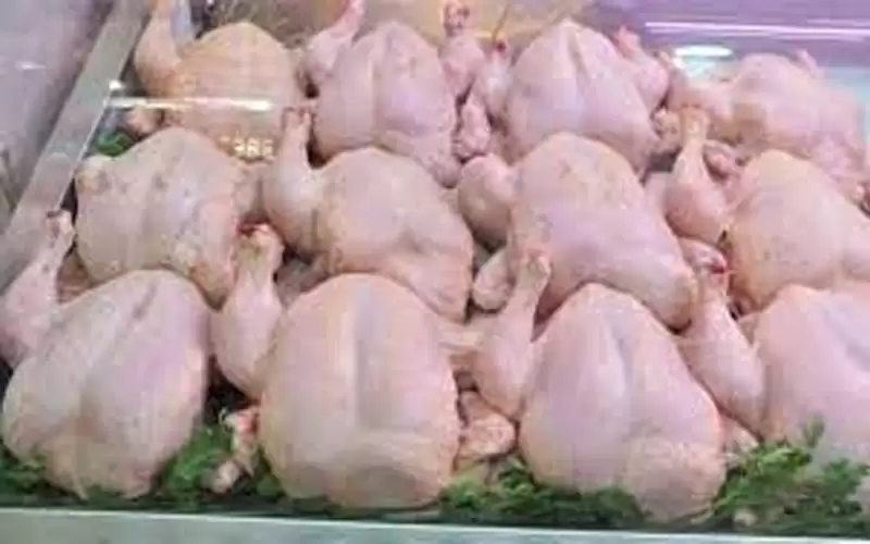 أبو دقر: المزارع يبيع الدجاج بخسارة