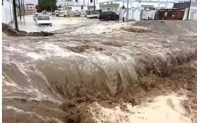 مقتل 17 شخصا جراء سيول في