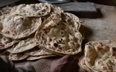 الفاو: الأردن لديه نظرة استراتيجية بعيدة