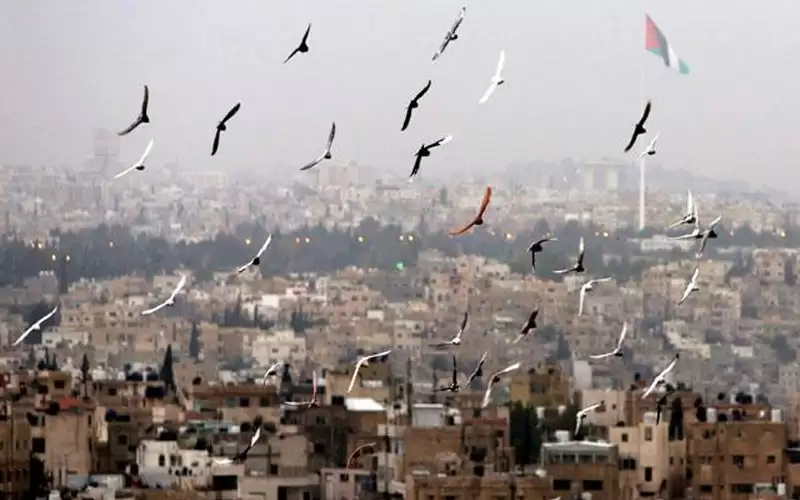 انخفاض طفيف على الحرارة وتحذير من