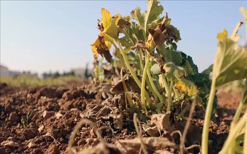 البيئة تطلق خطة لمواجهة التغير المناخي
