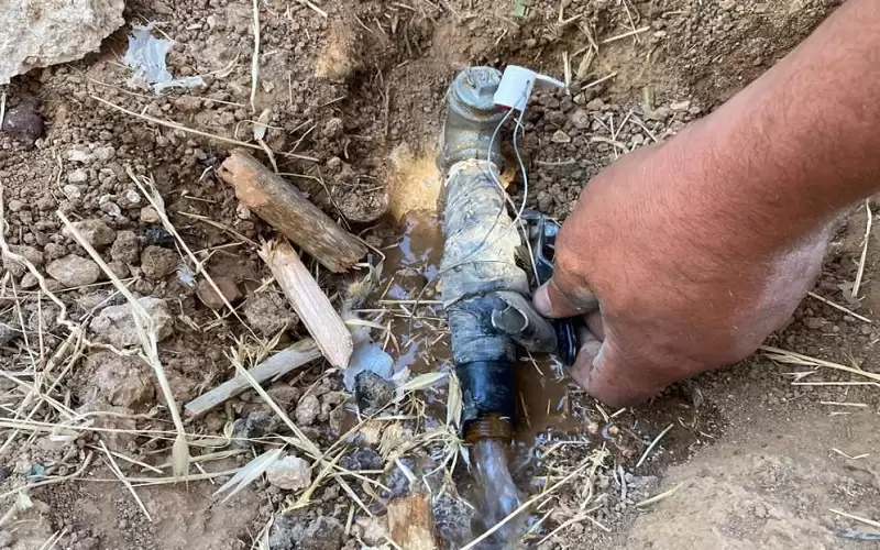 البطاينة: نحو 71 ألف اعتداء على