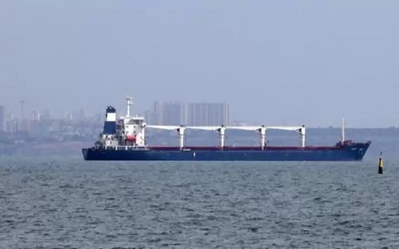 وصول أول سفينة حبوب أوكرانية إلى