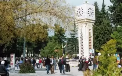 عضو مجلس أعيان: التعليم الجامعي بالاردن