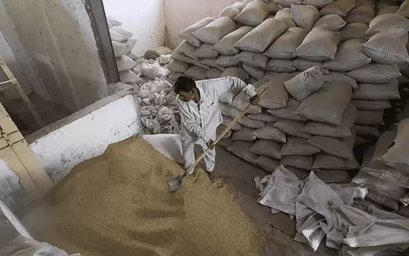 قلة الأمطار بالهند تهدد إمدادات الغذاء