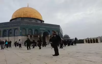 مدير أوقاف القدس: الاحتلال الإسرائيلي حول المسجد