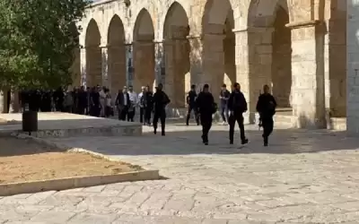 بن غفير يقود اقتحامات في الأقصى
