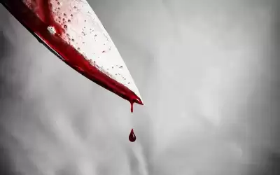 صحيفة نيسان ـ شخص يقتل زوحته طعنا في الرصيفة