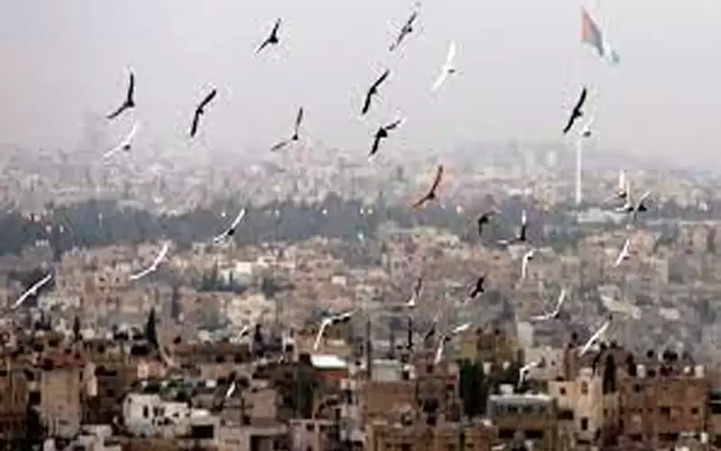 انخفاض درجات الحرارة الاثنين