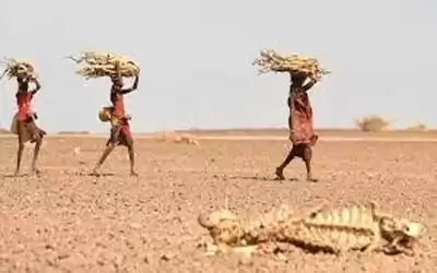 نزوح مليون شخص بالصومال جراء الجفاف