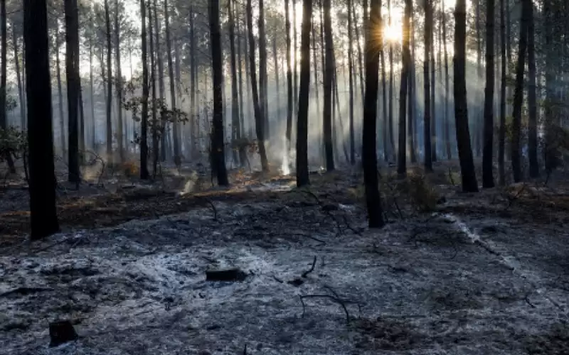 تراجع الحرائق في فرنسا مع انحسار