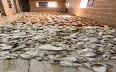ضبط نصف طن حشيش ومليوني حبة