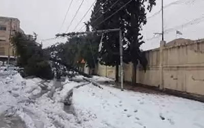 الكهرباء الأردنية مسؤولة عن انقطاع الكهرباء