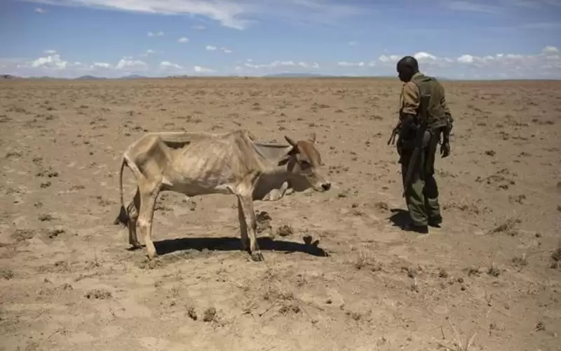 المجاعة تهدد 22 مليون شخص في