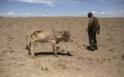 المجاعة تهدد 22 مليون شخص في