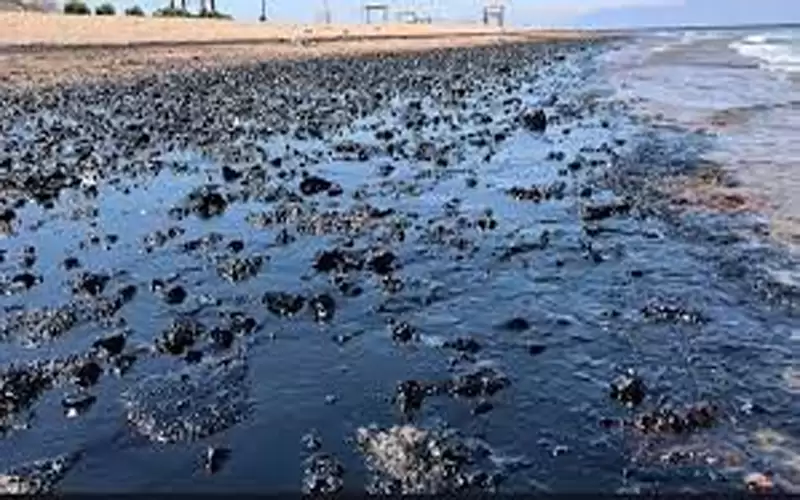 إحالة ملف حادث تسريب الزيت بالعقبة