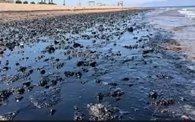إحالة ملف حادث تسريب الزيت بالعقبة