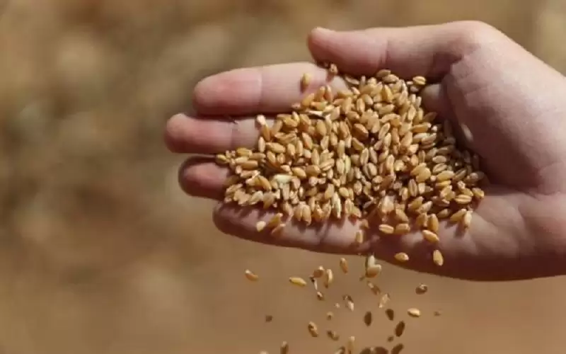 غوتيريش: 650 ألف طن من الحبوب